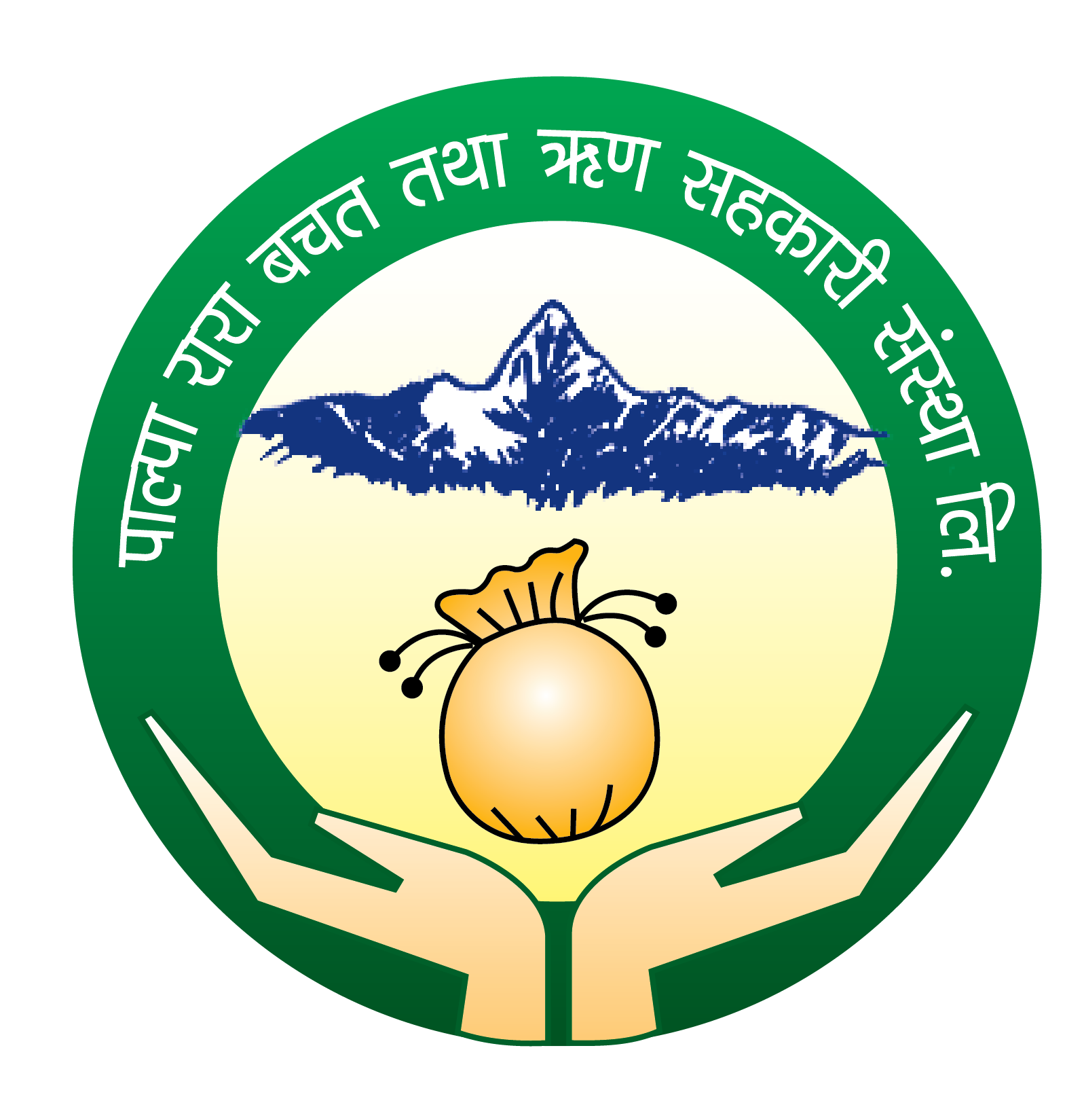 PALPA RARA BACHAT TATHA RIN SAHAKARI SANSTHA LIMITED.TANSEN MUNICIPALITY WARD NO. 3 BHAGAWATI TOLE, PALPA